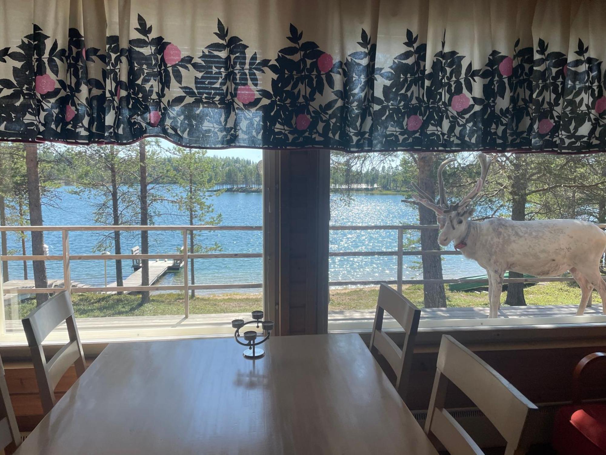 Porotila Toini Sanila Otel Sevettijärvi Dış mekan fotoğraf